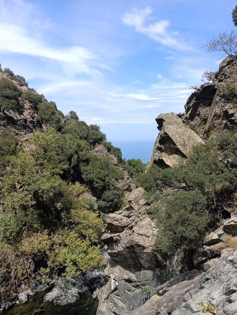 Camp canyon